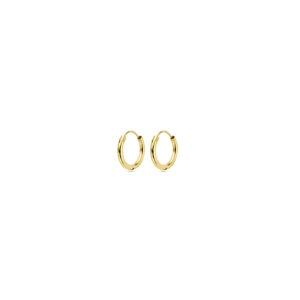 40.13329 oorringen Geelgoud holle buis 13mm