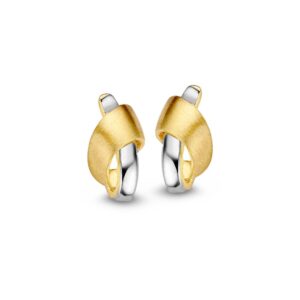 OB406762 Excellent Oorstekers Bi-color goud