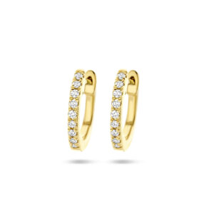 40.27350  KA oorringen met diamant 0.06 ct HSI 14 kt