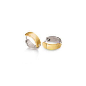 0510-15 Boccia oorringen titanium bicolor 13mm