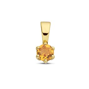 40.25321 KA Geelgouden hanger november citrien