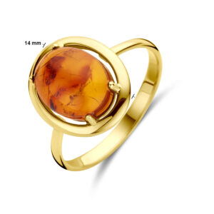 40.30841 KA Geelgouden ring met Amber 17,25