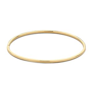 AC107794 Excellent Geelgouden Bangle platte buis 59mm