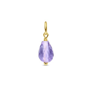 40.30769 KA Geelgouden hanger amethist briolette