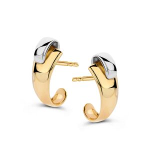 OC407587 Excellent Bi-color gouden Oorstekers