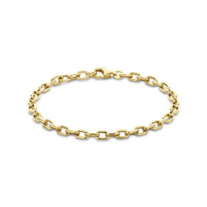 40.33134 KA Geelgouden armband fantasie 19cm 4.5mm