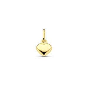 40.05721 KA gouden hanger bol hart